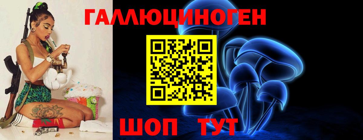 Галлюциногенные грибы GOLDEN TEACHER Горно-Алтайск